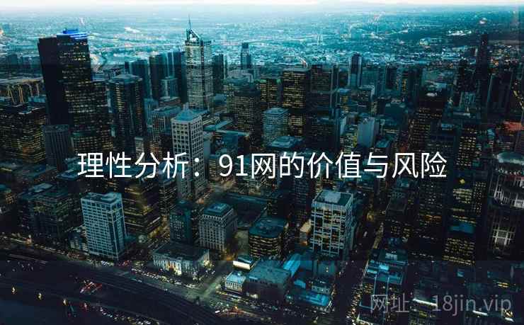 理性分析：91网的价值与风险