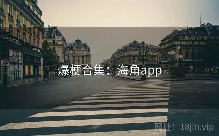 爆梗合集：海角app  第1张