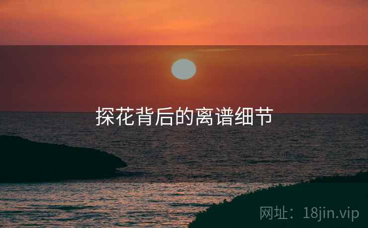 探花背后的离谱细节