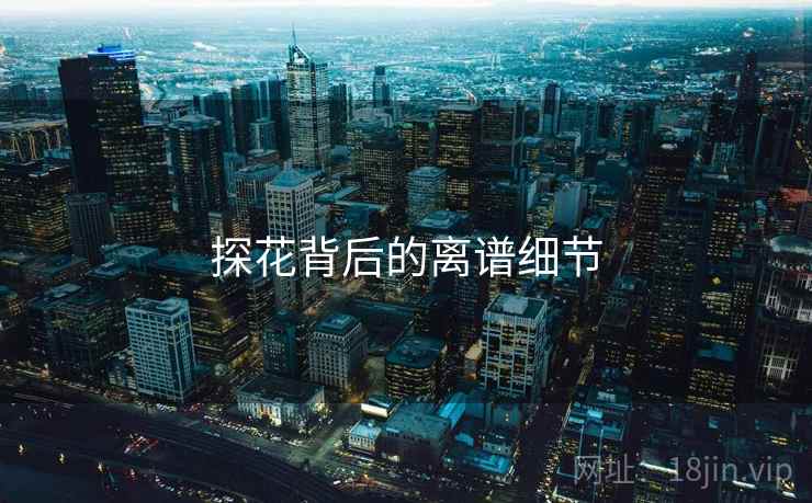 探花背后的离谱细节