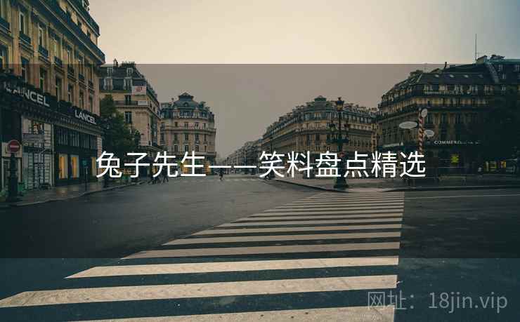 兔子先生——笑料盘点精选