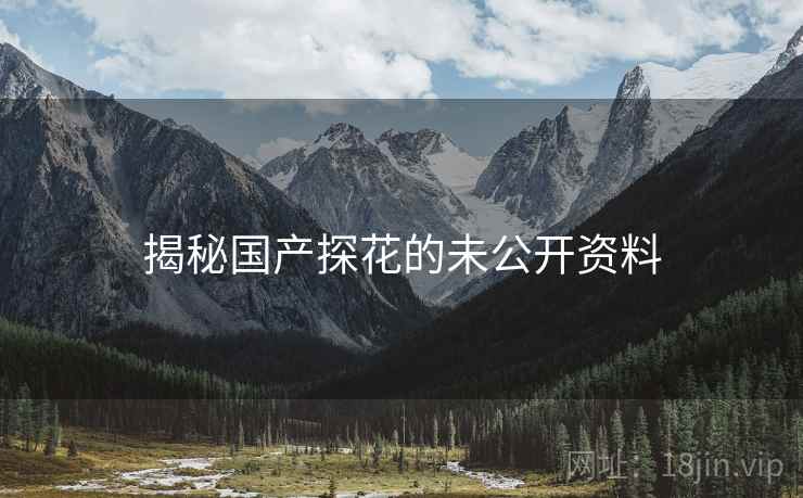 揭秘国产探花的未公开资料