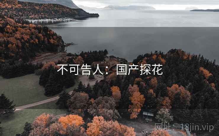 不可告人：国产探花