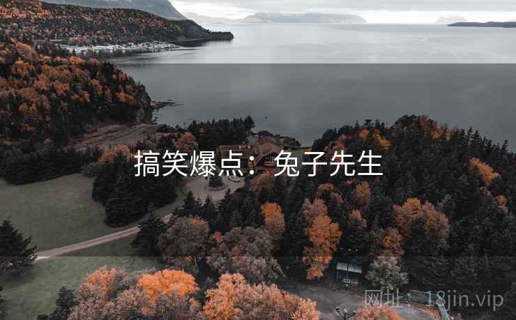搞笑爆点：兔子先生