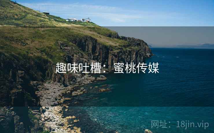 趣味吐槽：蜜桃传媒