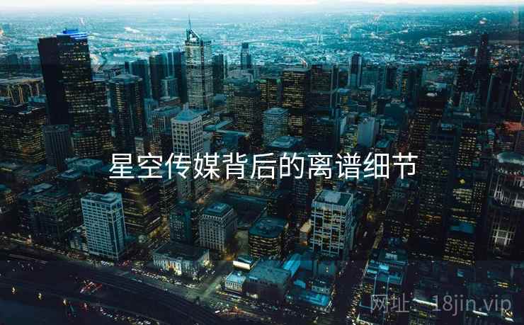 星空传媒背后的离谱细节