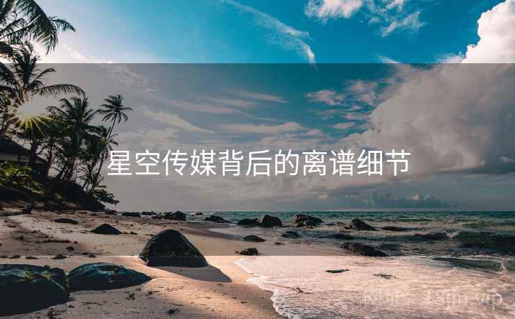 星空传媒背后的离谱细节