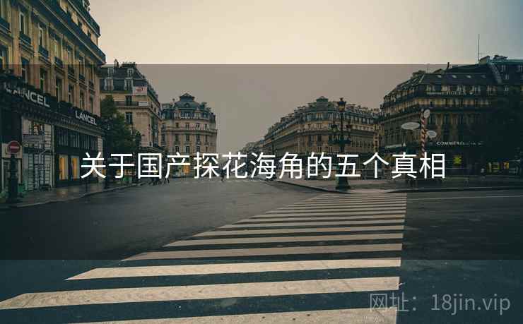 关于国产探花海角的五个真相