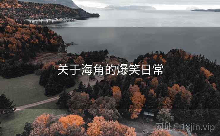 关于海角的爆笑日常