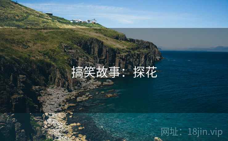 搞笑故事:探花