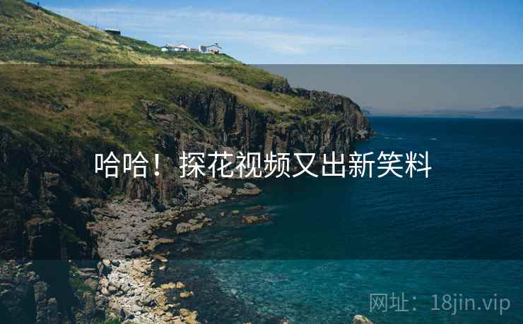 哈哈!探花视频又出新笑料