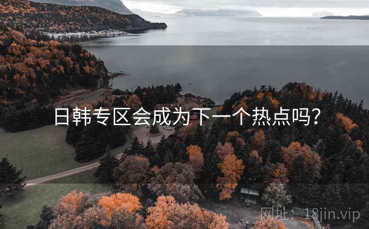 日韩专区会成为下一个热点吗?