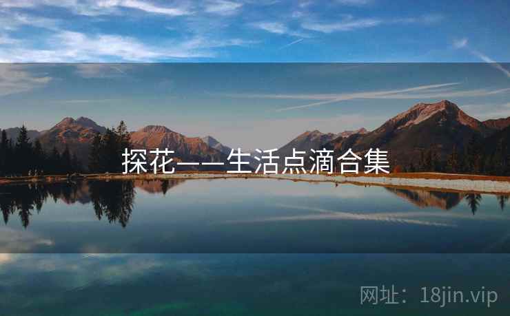 探花——生活点滴合集