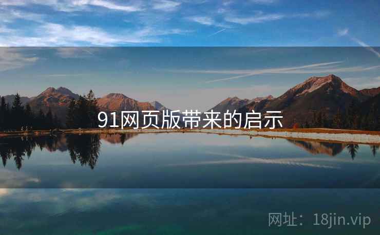 91网页版带来的启示