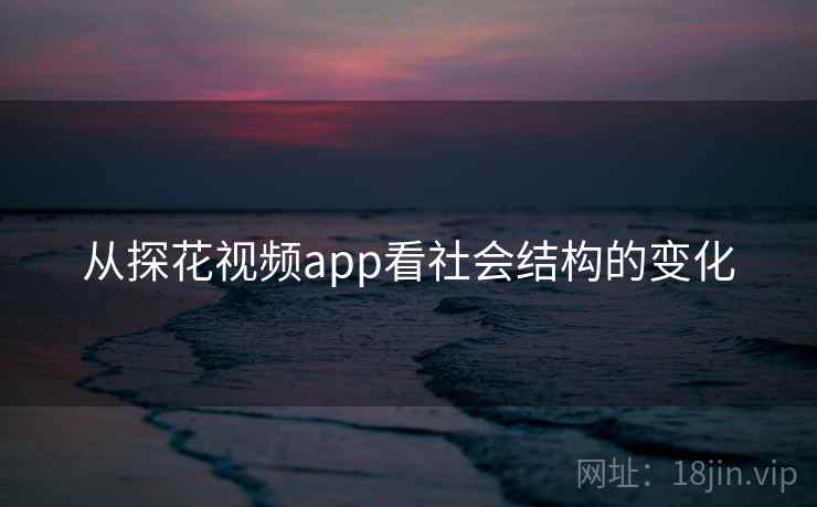 从探花视频app看社会结构的变化