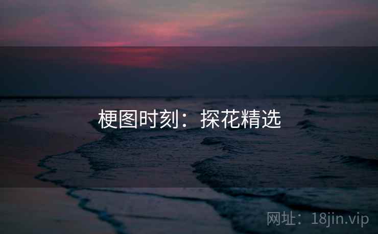 梗图时刻:探花精选