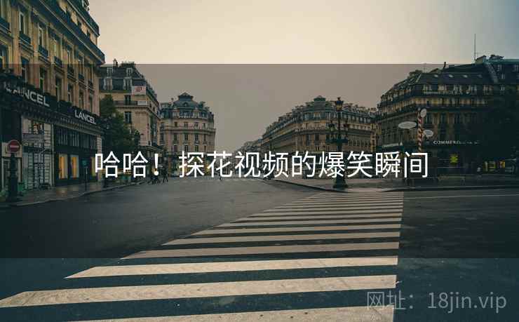 哈哈!探花视频的爆笑瞬间