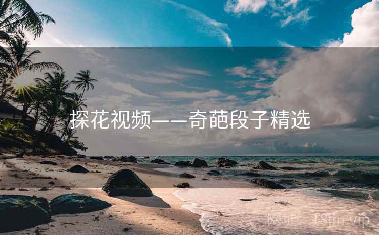 探花视频——奇葩段子精选